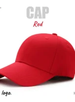 OL-HAT-02_08