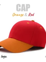 OL-HAT-02_12