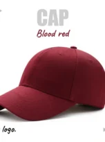 OL-HAT-02_13