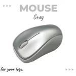 OL MOUSE 01 06