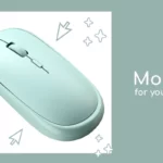 OL MOUSE 03 02