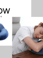 OL-PILLOW-02-01