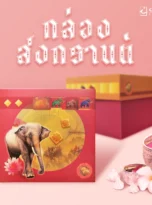 Songkran box(box)5_11zon