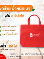 FPM-BAG01-01