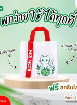 FPM-BAG06-01
