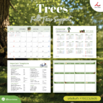 AD ปฏิทิน S Trees4