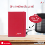 DA11 ไดอารี่ 2