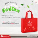 กระเป๋าผ้าสปันบอนด์ FPM BAG05 2