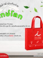 กระเป๋าผ้าสปันบอนด์-FPM-BAG05 (2)