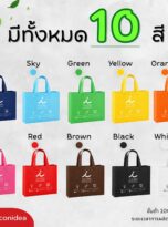 กระเป๋าผ้าสปันบอนด์-FPM-BAG05 (3)