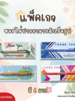 แพคเกจซองใส่ปากกา (ลายมาตรฐาน) PEN-PK (1)